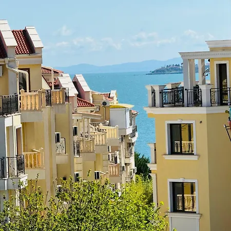 Royal Palm 84 * Szveti Vlasz