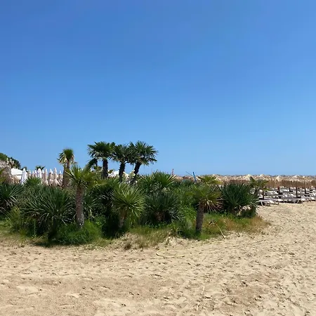 Apartmán Royal Palm 84 Sveti Vlas