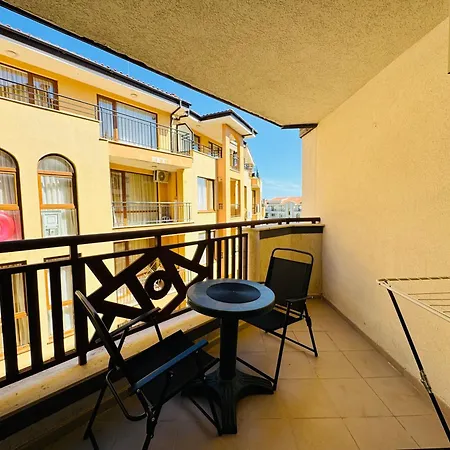 Royal Palm 84 *