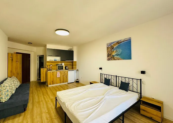 Royal Palm 84 스베티 블라스