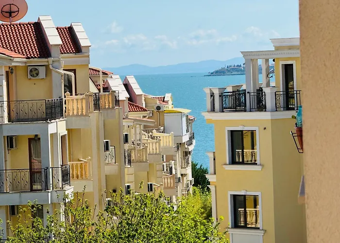 Royal Palm 84 * 스베티 블라스