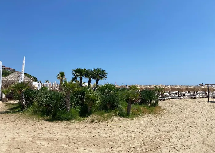 아파트 Royal Palm 84 스베티 블라스