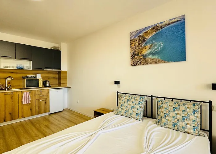 Royal Palm 84 스베티 블라스